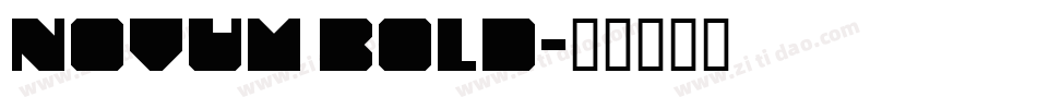 Novum Bold字体转换